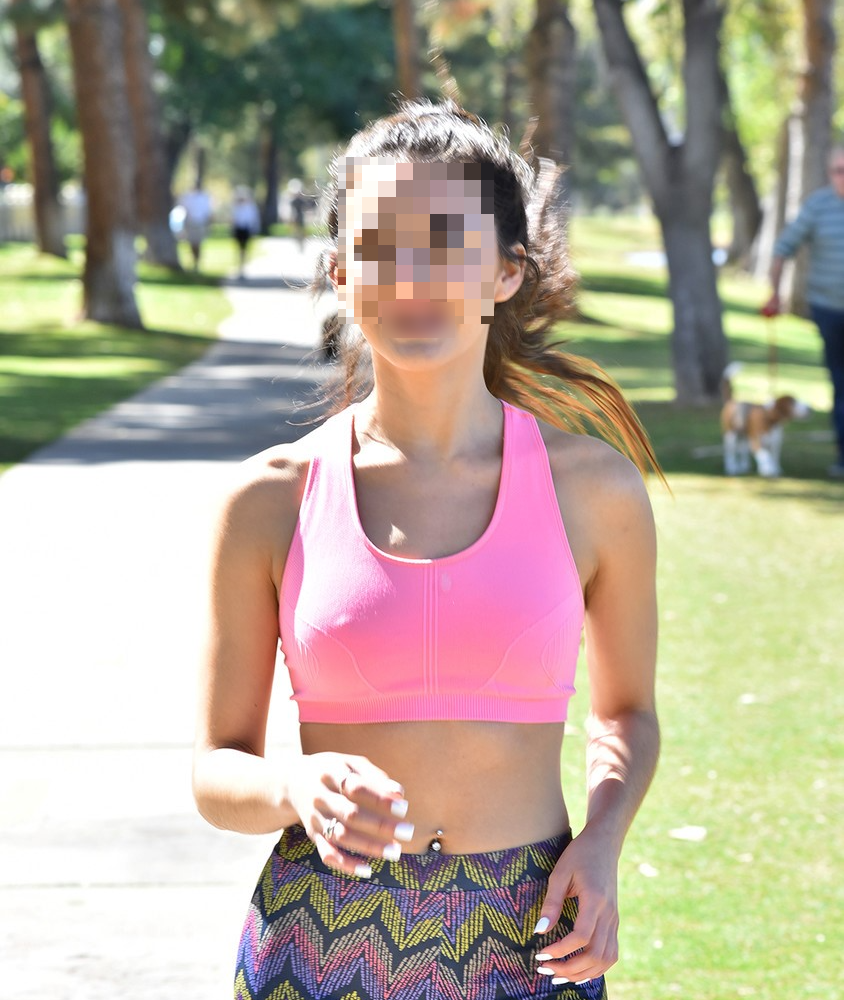 המושלמת של הצפון